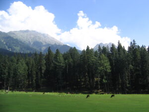 Baisaran Valley. Source: Wikipedia.