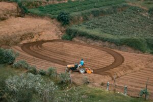 Spring in Ooty