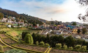 Ooty Landscape
